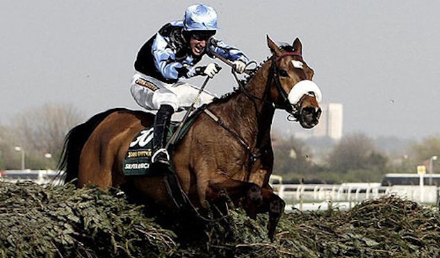 Silver Birch jumping a fence at the Grand National