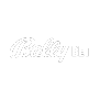 Bally Casino logo square