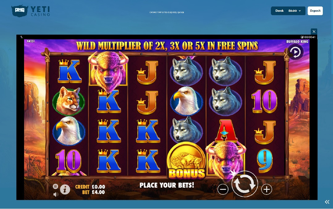 Buffalo King slot game in fullscreen mode before making a first spin