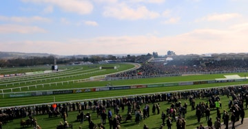 Cheltenham betting offers