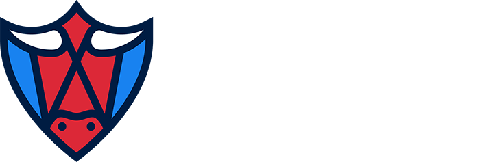 Betbull logo transparent white