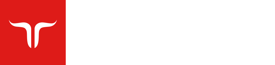 Jetbull Logo Transp