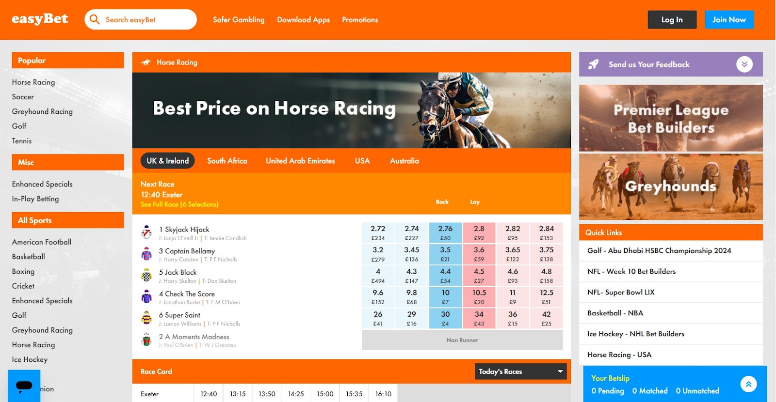 Easy Bet horse racing