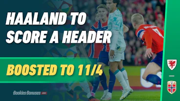 Haaland 11 4 header