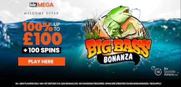 Mr Mega Casino bonus