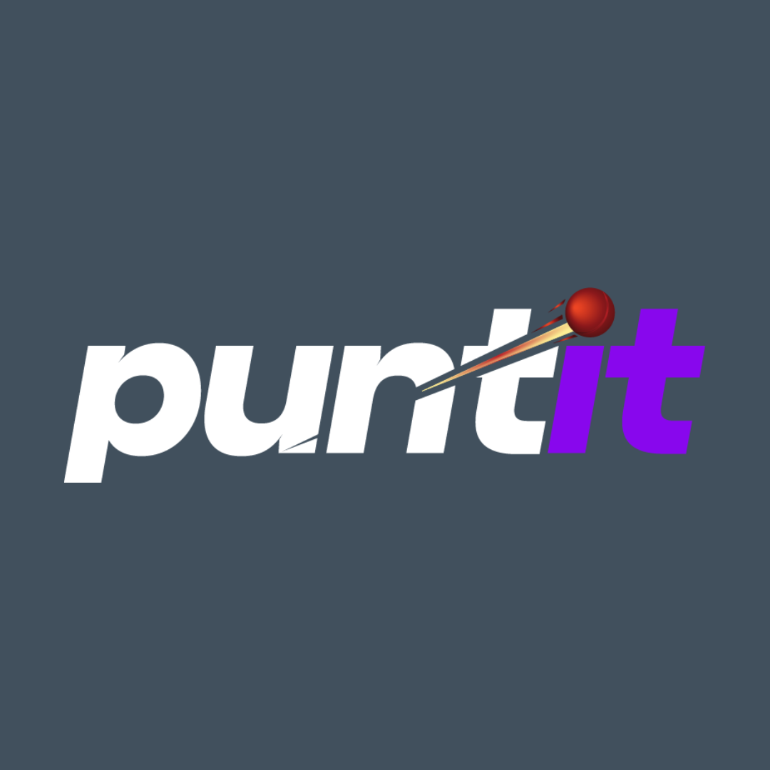 Puntit pros and cons