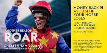 Sky Bet Supreme Novices