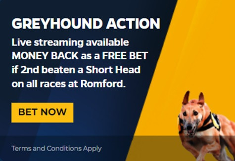 Star Sports Greyhound Money Back