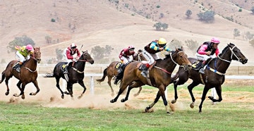 New Zealand horse Racing