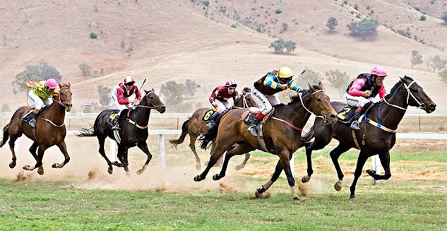 New Zealand horse Racing