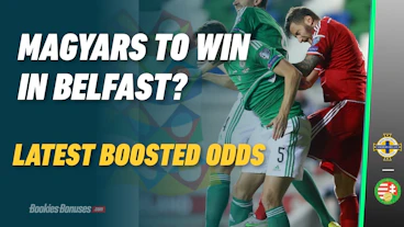 Northern Ireland v Hungary