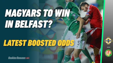 Northern Ireland v Hungary