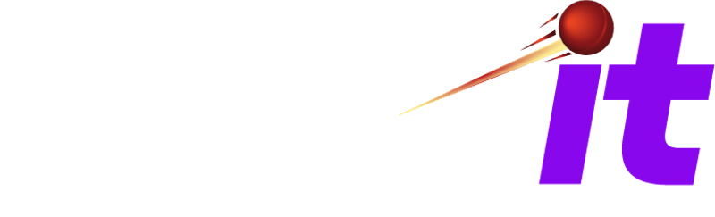 Puntit logo white